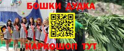 прущие грибы Канаш
