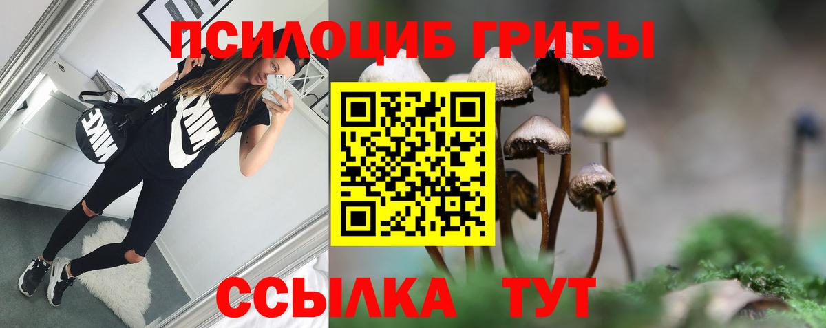 Галлюциногенные грибы мухоморы Гатчина