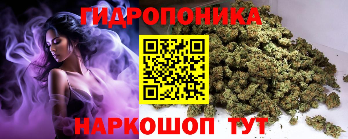 Бошки марихуана THC 21%  Канабис Bruce Banner  Гатчина  Бошки марихуана конопля  Вход с VPN 