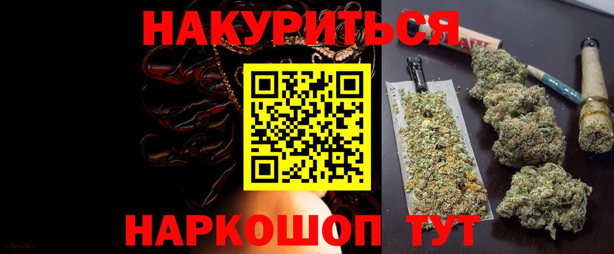 Конопля план Гатчина